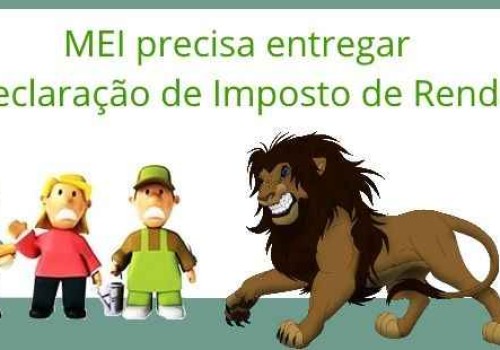 MEI: Declarações de Imposto de Renda 2018