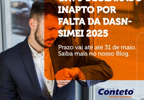 MEI pode ter CNPJ declarado inapto por falta da DASN-Simei 2025